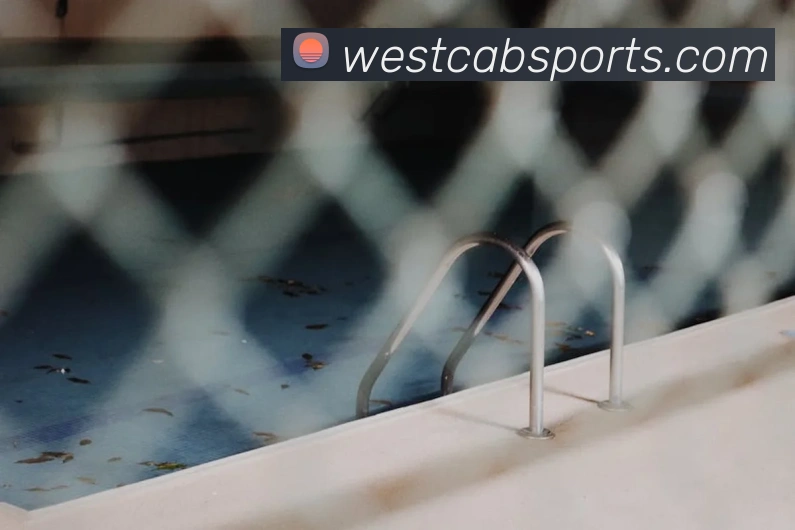 B体育APP 封面图